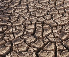 Image of dried up ground that has cracked