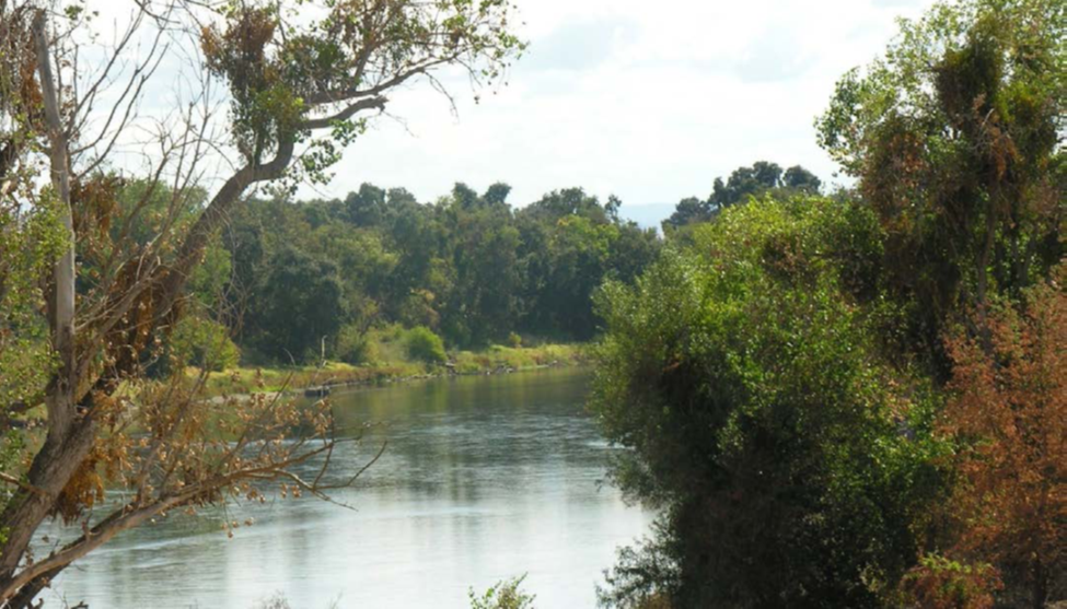 Feather River (Photo by Donna Johnston)