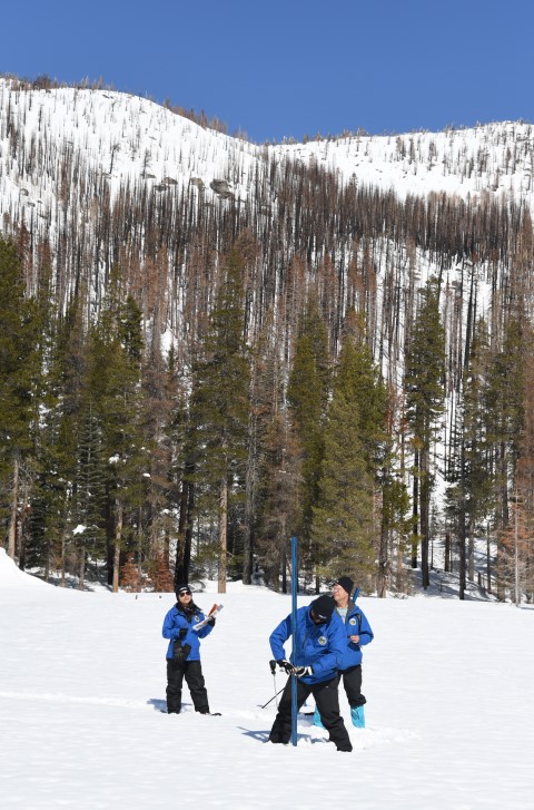 Snow Survey Team