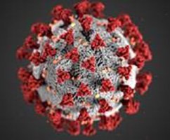 OEM_thumb_Coronavirus